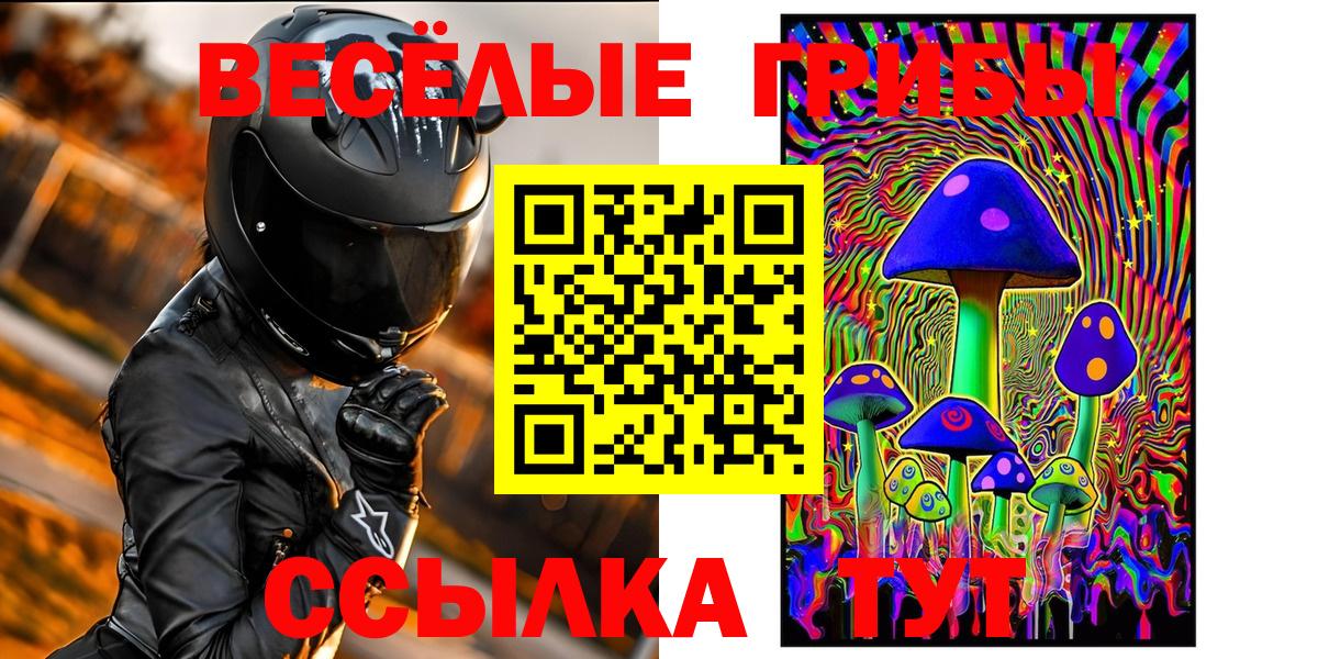 Скопин  Псилоцибиновые грибы Cubensis  Вход с VPN 